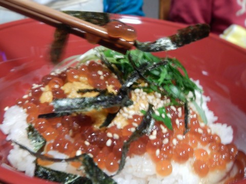 baoktgxrntwg6535fzfi_480_480-6d7db418.jpg