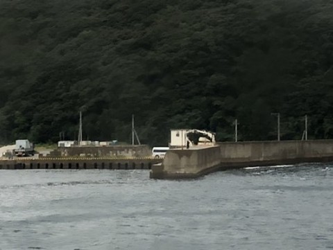 baos9bsvvtbvdfz9j2fj_480_361-cf6e38c4.jpg