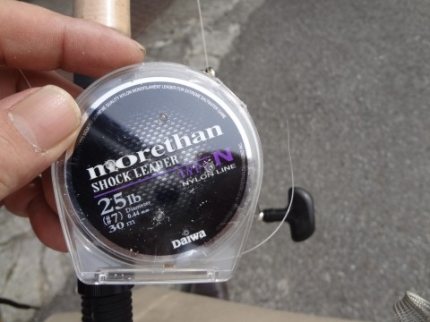 bb9pthpvi34fobu88sei_480_480-3b4c9300.jpg