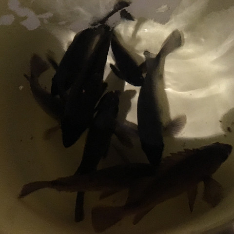 bbcevrjv2c3hhprr4rou-7b22ca15.jpg