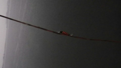bbghpprn3wd8oi6n6geo_920_518-de35c950.jpg