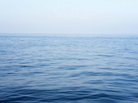 bbi3zgi48ha3pi2d9yh5_920_690-4c4d0780.jpg