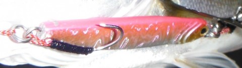 bbmgbzug9yp9wunjm5fd_480_480-8cbb80a0.jpg