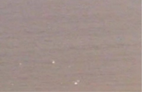 bbxdmgvn59244u4efuxv_920_597-196df162.jpg