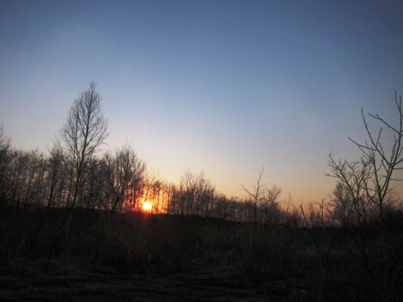bbzt23t89mvcrcrrvmtg-4a984fae.jpg