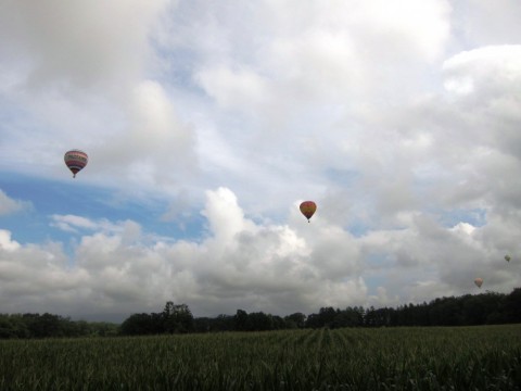 bc46vjgg3sgs56re2mrb_480_480-cb82b239.jpg