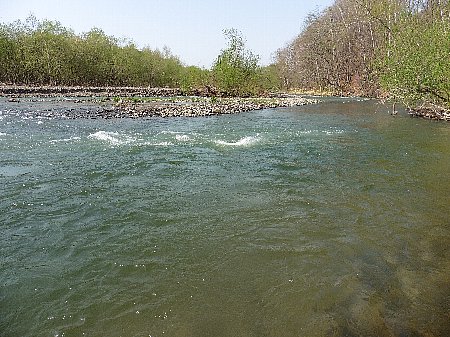 bc4o2uf3wwkjs8k38mwv-2013e9a8.jpg