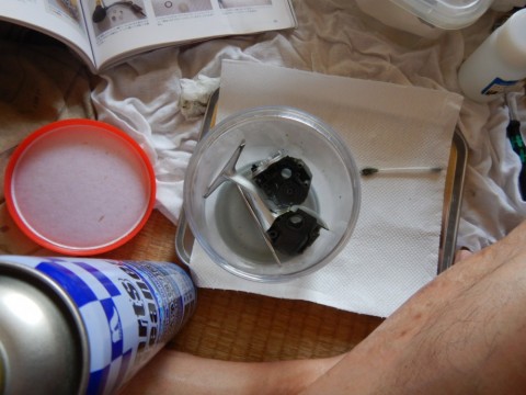 bceyatkrtju8vkj32pio_480_480-70c76243.jpg