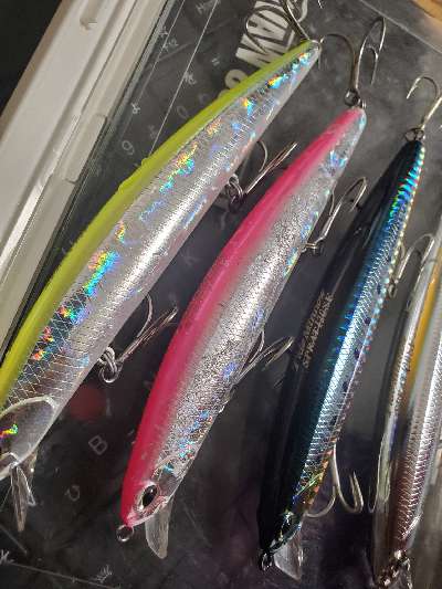 釣りログ】 タイドミノー「スプラット」