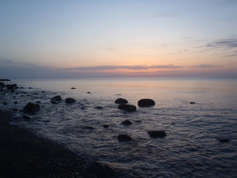 bckdzezcdr734n6g4mmg_480_480-e01478c8.jpg