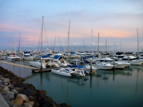 bcm8bk9opstguvrj9c37_480_480-4d7556bb.jpg