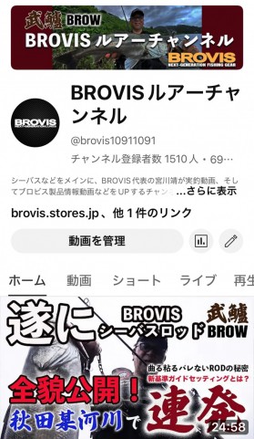 bcrcmmtear6e944wrvxv_480_480-346cc36c.jpg