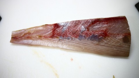 bctgus5845smadus6679_480_480-73aab079.jpg