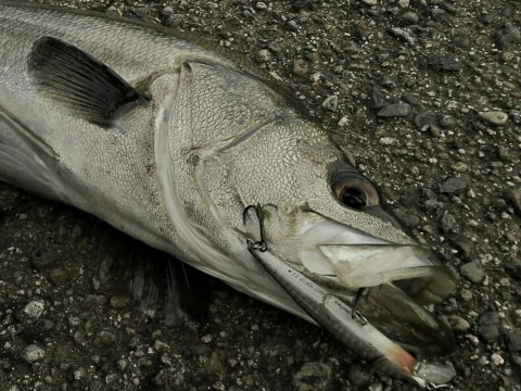 bdam5pcgxd2k587cmbii_920_690-6c7a08fa.jpg