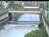 bdgrnkkwhey535sf9ur8-06acfaf7.jpg