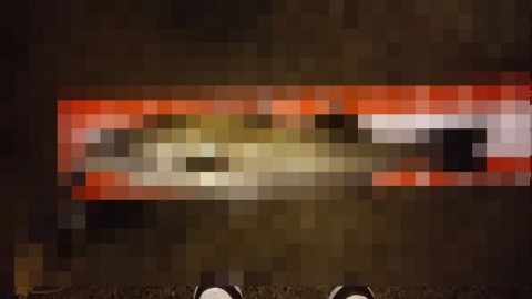 bdvgtxegajecm6dxxu3t_480_480-6a2e5b4d.jpg