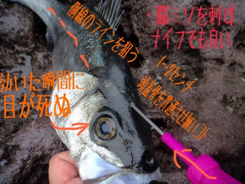 begjtm37m6yzjcpys9tn_920_690-da8154eb.jpg