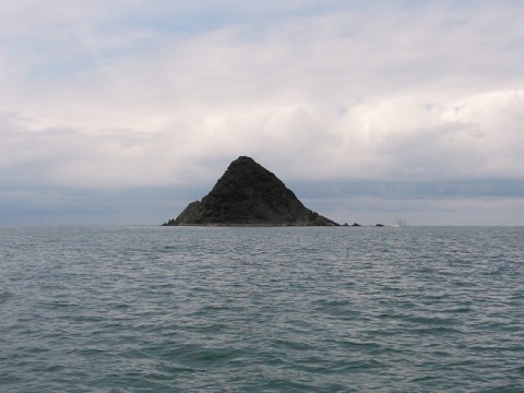 bemjaosgpo6pfnwj86u6_480_480-23e24960.jpg