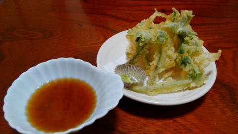 betokv8xaax3vc3ku8wf_920_518-c037ea28.jpg