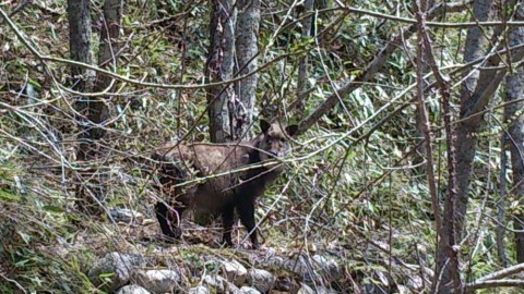 beyszbw9b6h3aw7wrmud_480_480-1e823f04.jpg