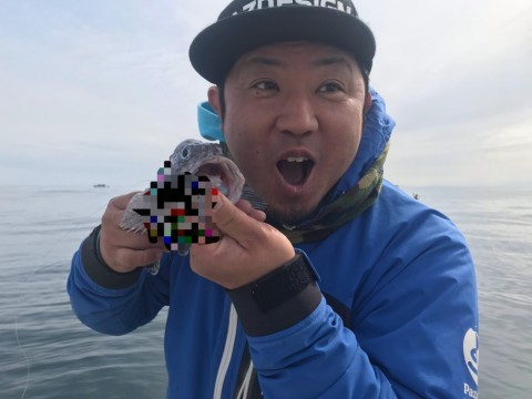 bfpyrt9djwfwywyu58mf_480_480-02df044c.jpg
