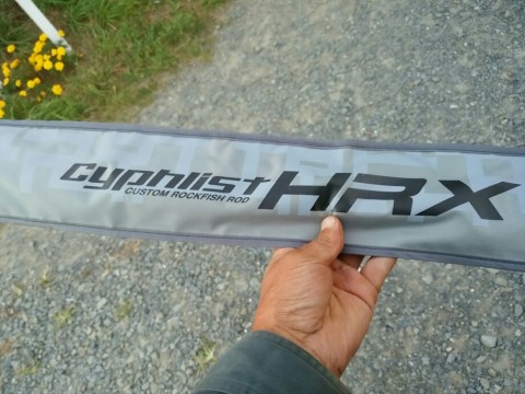 bfxory8jr9727pnkgdxy_920_690-88befb5b.jpg