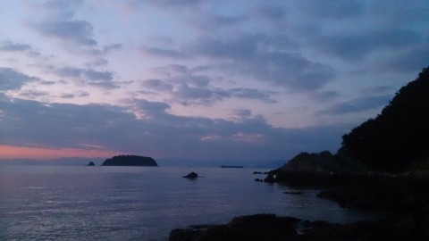 bg2hhyuy9d6c5ynbnydd_480_480-df61d07f.jpg