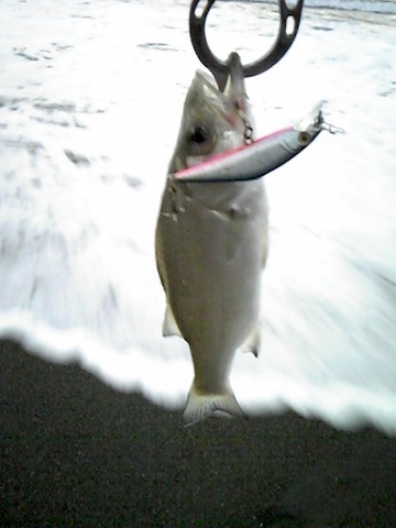 bgeyvito2gnmm2pug2er-9f93cf3b.jpg