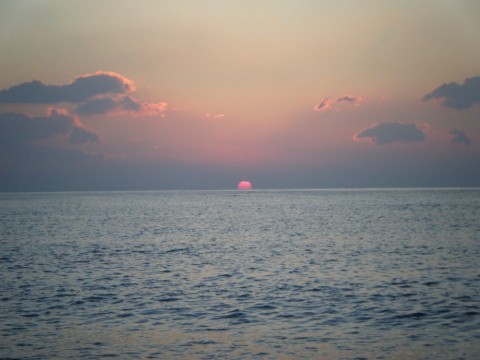 bgmrz8oren7ew8fghscx_480_480-5026969b.jpg