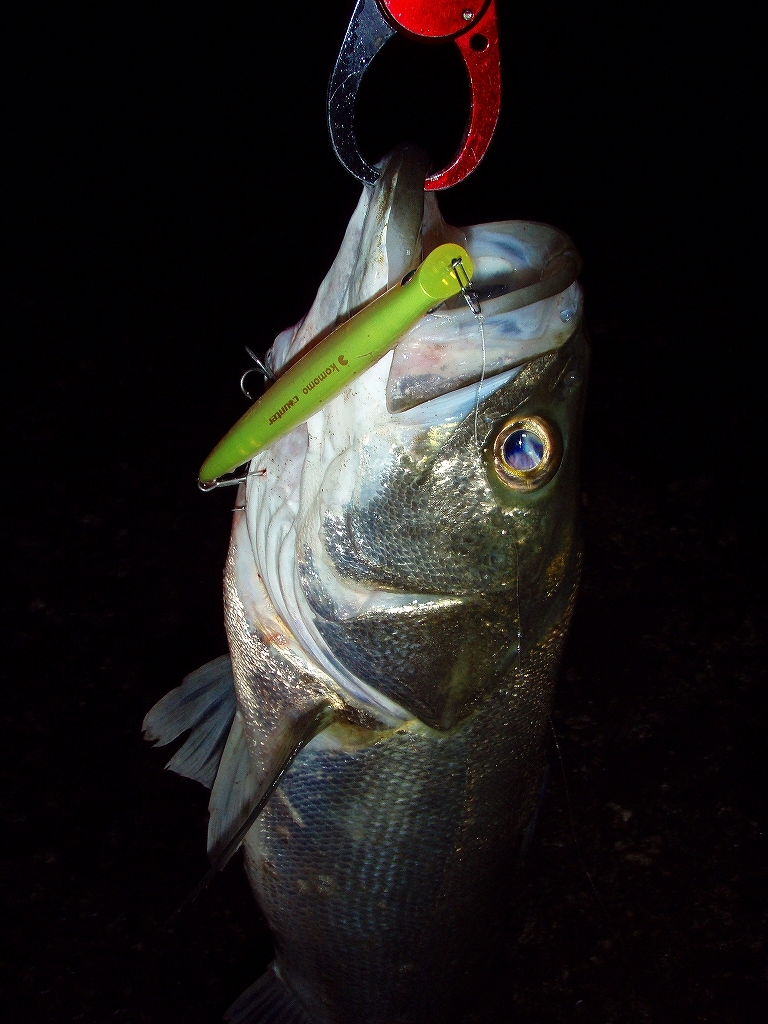 Hinokuni Fisher 竿は相棒 リールは