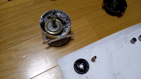 bgtv5zrpmrygmbay9k9x_480_480-782db510.jpg