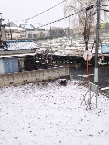 bhup4hzs4hx27v5v5tzc_480_480-42e6444c.jpg