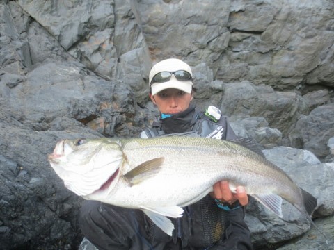 bi3aa23kg6ba8v3tri7w_920_690-adb2d988.jpg