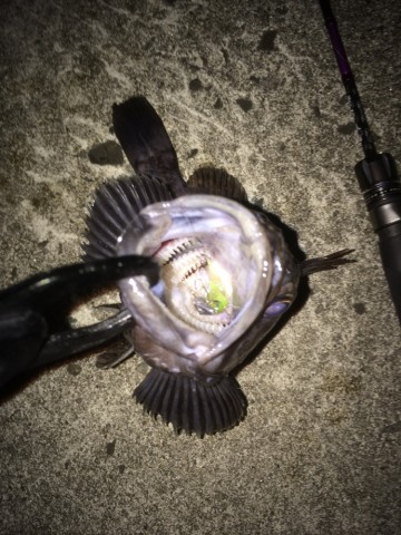 bi5u328i23kj8pv79jh5_690_920-51e9e227.jpg
