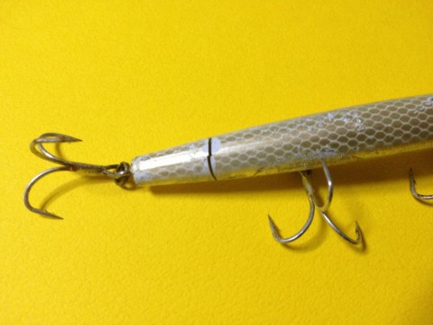 biaaxenopti9nxermb9b_920_690-38cc4069.jpg