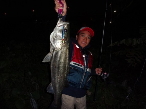 bige2b6u5aeid3e535c2_480_480-6165b4c8.jpg