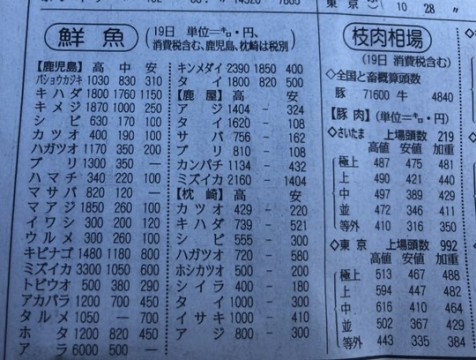 bios3334z9ts576f6nes_480_363-91024790.jpg