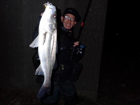 biyu9nxyf9gjzgbdfcwj_480_360-027d815a.jpg