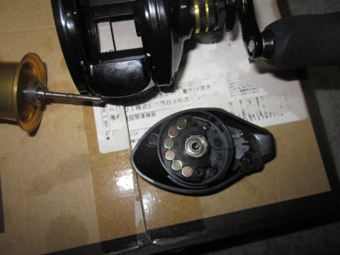 bj84box5n88cgn298svi_480_480-ce732dc7.jpg