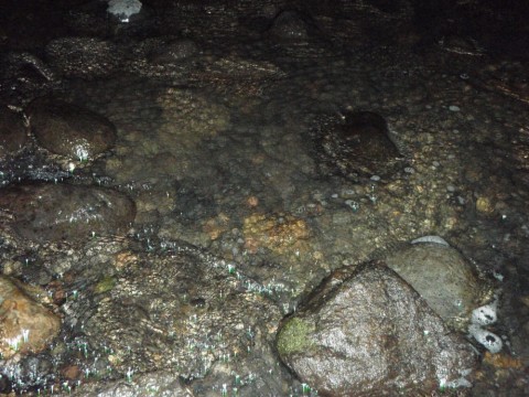 bjgdsjkf9r9ntbjc9gnn_480_480-c2070a84.jpg