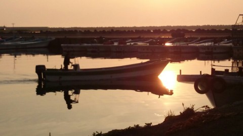 bjjonxbnxjyjsrdomhav_920_518-28951752.jpg