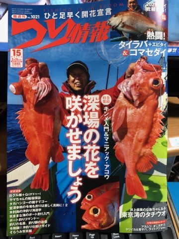 bjsnp32u7jouku2bm7sy_480_480-fbda7026.jpg