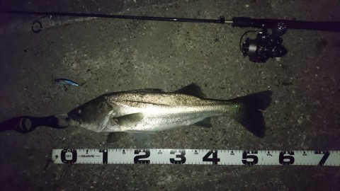 bjtdsa9fxkinykeecgw7_480_480-1ec3e539.jpg