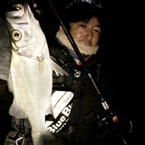 bjwdvkx346t75d6ej654_480_480-a1b8a068.jpg