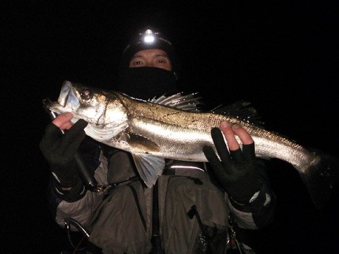 bk2hfQsb5YHrcXxULdxp_480_480-366cc3ab.jpg