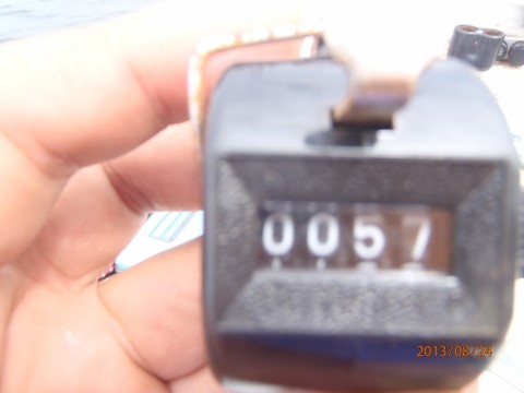 bk6wymgfwrrw7m9c7ke4_480_480-3aa1a0ba.jpg