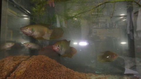 bkerhgpdvasirxwdxmrn_920_518-38c307df.jpg
