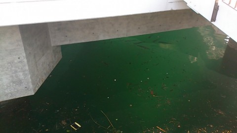 bkrpcgsbdafofzgfrbcb_480_480-7a003788.jpg