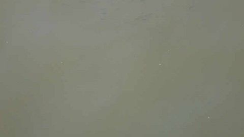 bkw7k973xdhtd22pngou_480_480-c5f0b14d.jpg