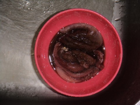 bkw7wdvhszxxbsybu4bc_480_480-33469c39.jpg